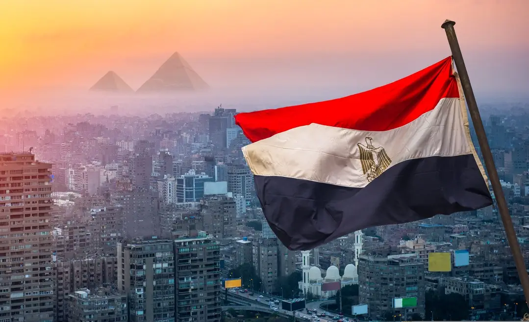 nssg-egypt-regional-office-nssg